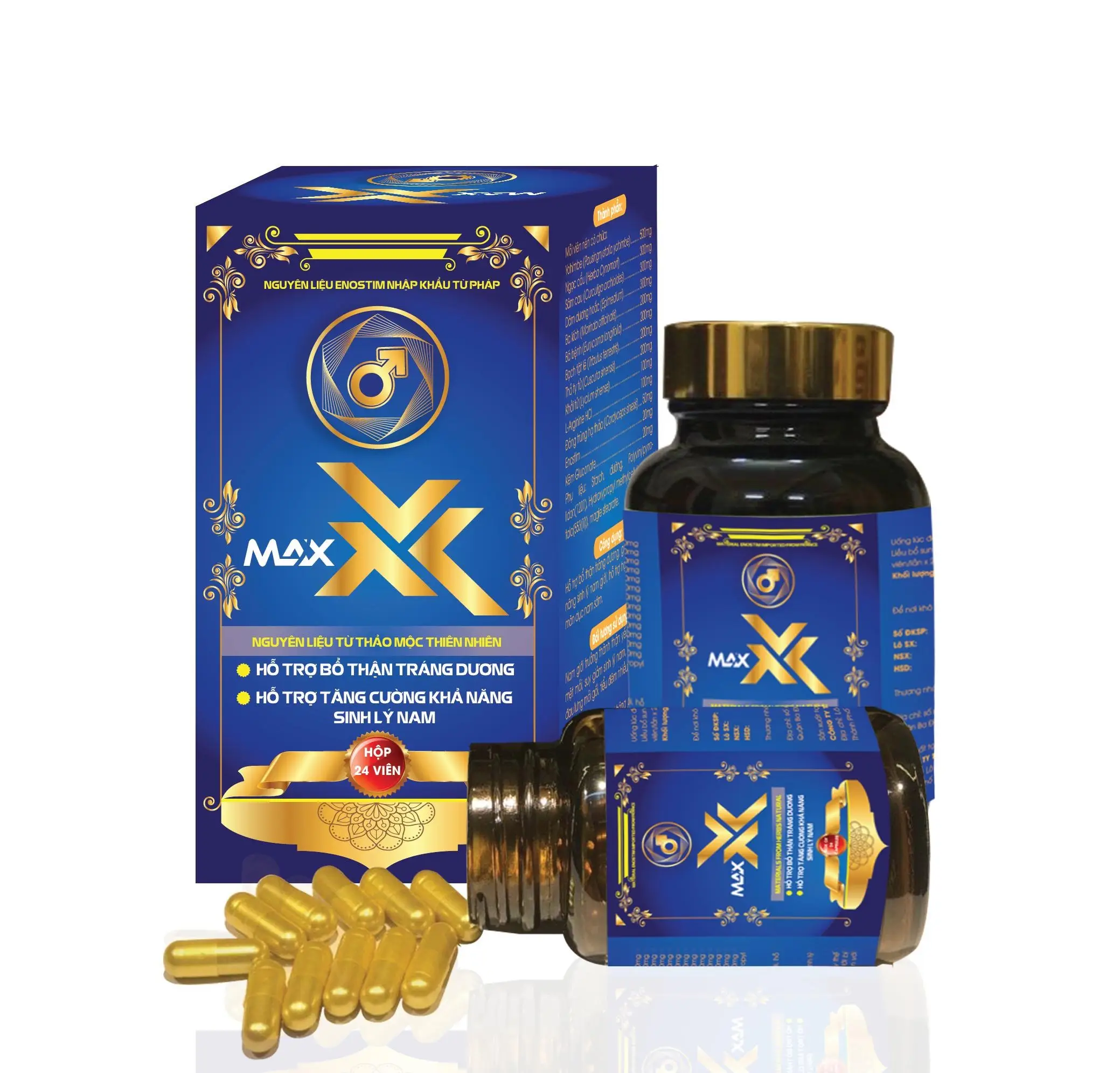 Thiết kế Bổ Thận Tráng Dương Max X