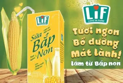 Thiết kế sữa bắp non LIF